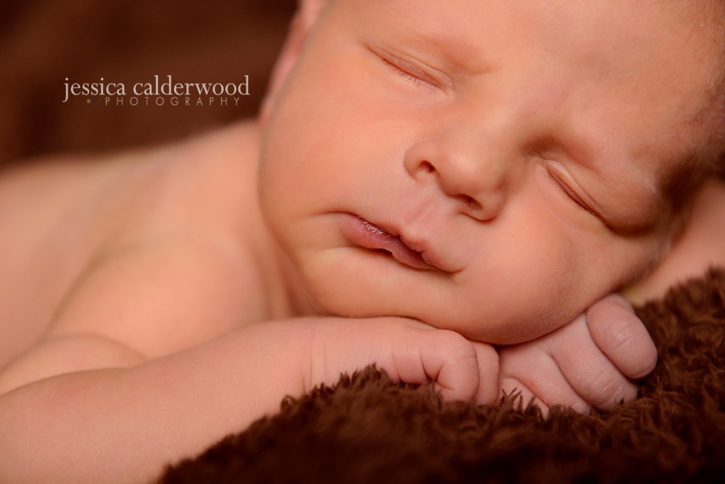 Driggs, Idaho Newborn Photography