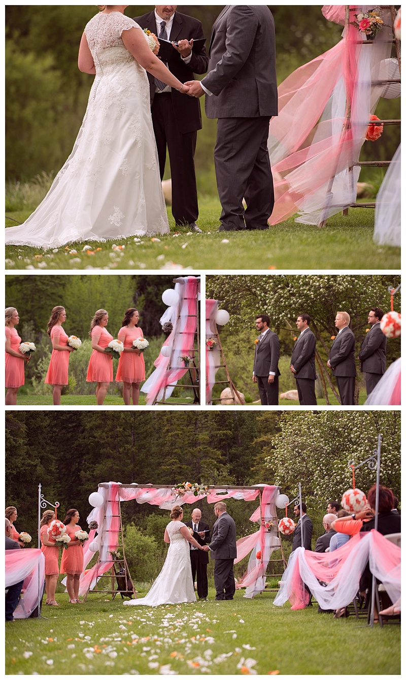 Teton Valley Wedding