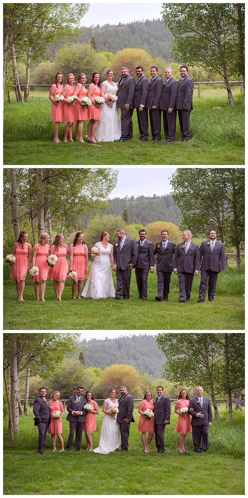 Teton Valley Wedding
