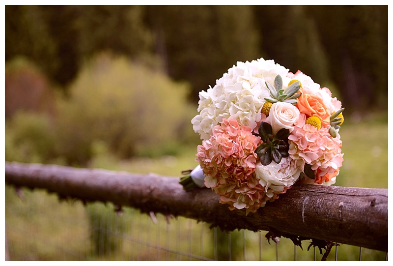 Teton Valley Wedding